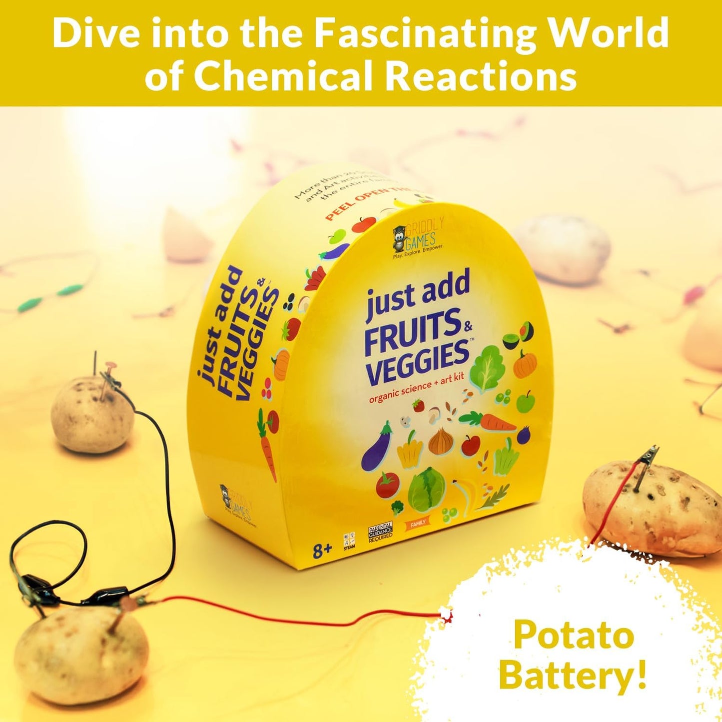 STEM Toys by Griddly Games - Art & Science Kits for Kids Age 8-12 Fun & Educational Science Toys, Engaging Kids Activity Kit, Perfect Science Kit for Hands-on Learning (Just Add Fruits & Veggies)