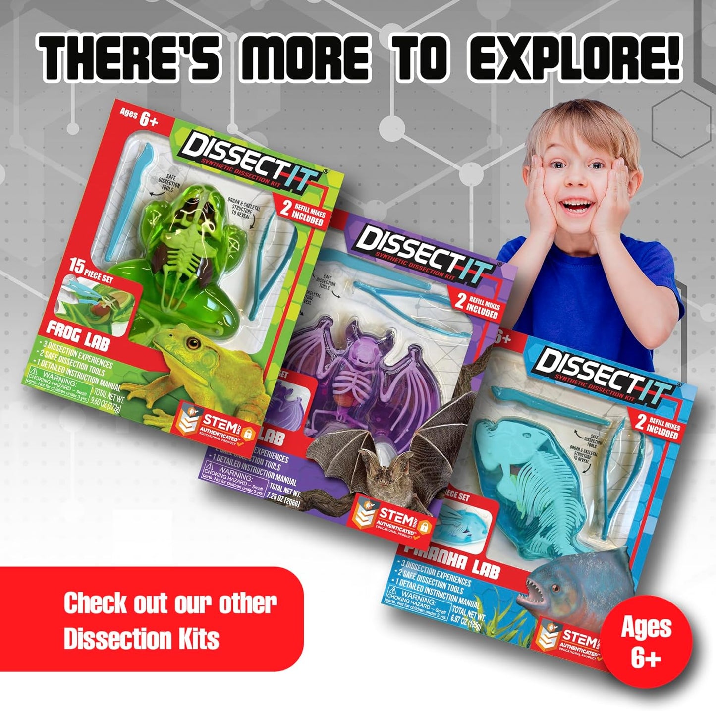 Dissect-It Kit for Kids, Simulated Synthetic Lab Dissection Toy, Salamander STEM Toys for Animal Science, Biology, and Anatomy