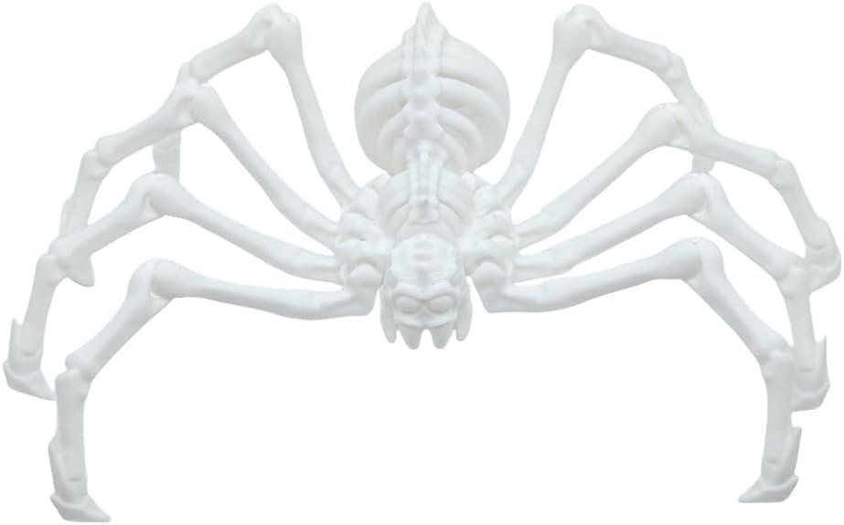 Large Skeleton Spider-Shy Spider,Halloween Decorations Skeleton Spider,Skeleton Spider Skull Bone Animal Skeleton Decorate Animal Halloween Skeleton Props (White)