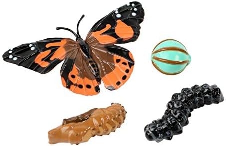 Insect Lore Cup Caterpillars - 5 Live Painted Lady Caterpillars with Food - Includes Figurines - Refill Kit for Butterfly Garden Habitat - STEM Science Activity for Kids and Classrooms