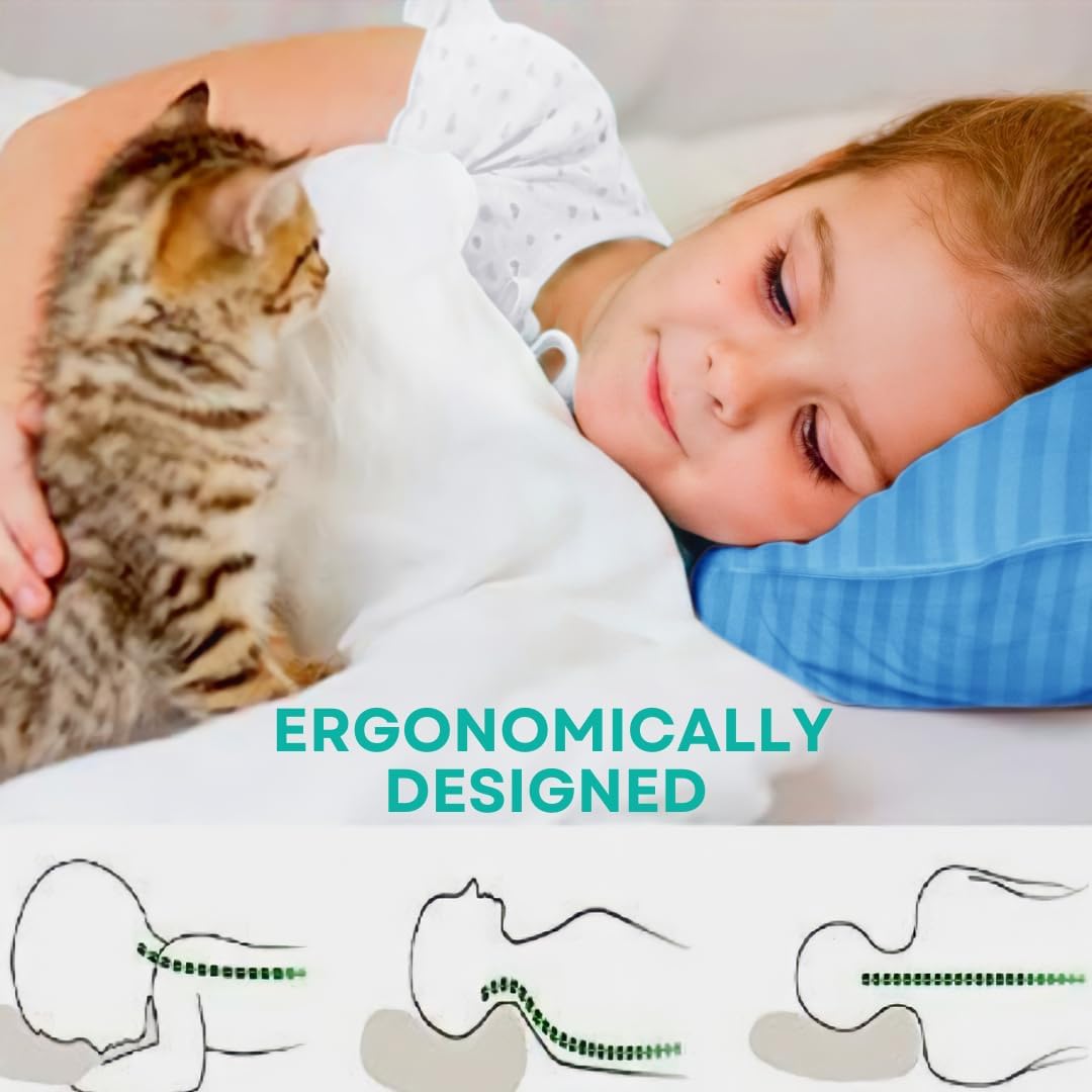 kinder Fluff Children Pillows (2X) - The Only Twin Pillows for Kids 300T Cotton Shell & Down Alternative Fill - Ideal for Travel, Bedding Set & Floor Cushions (16x24in - Blue)