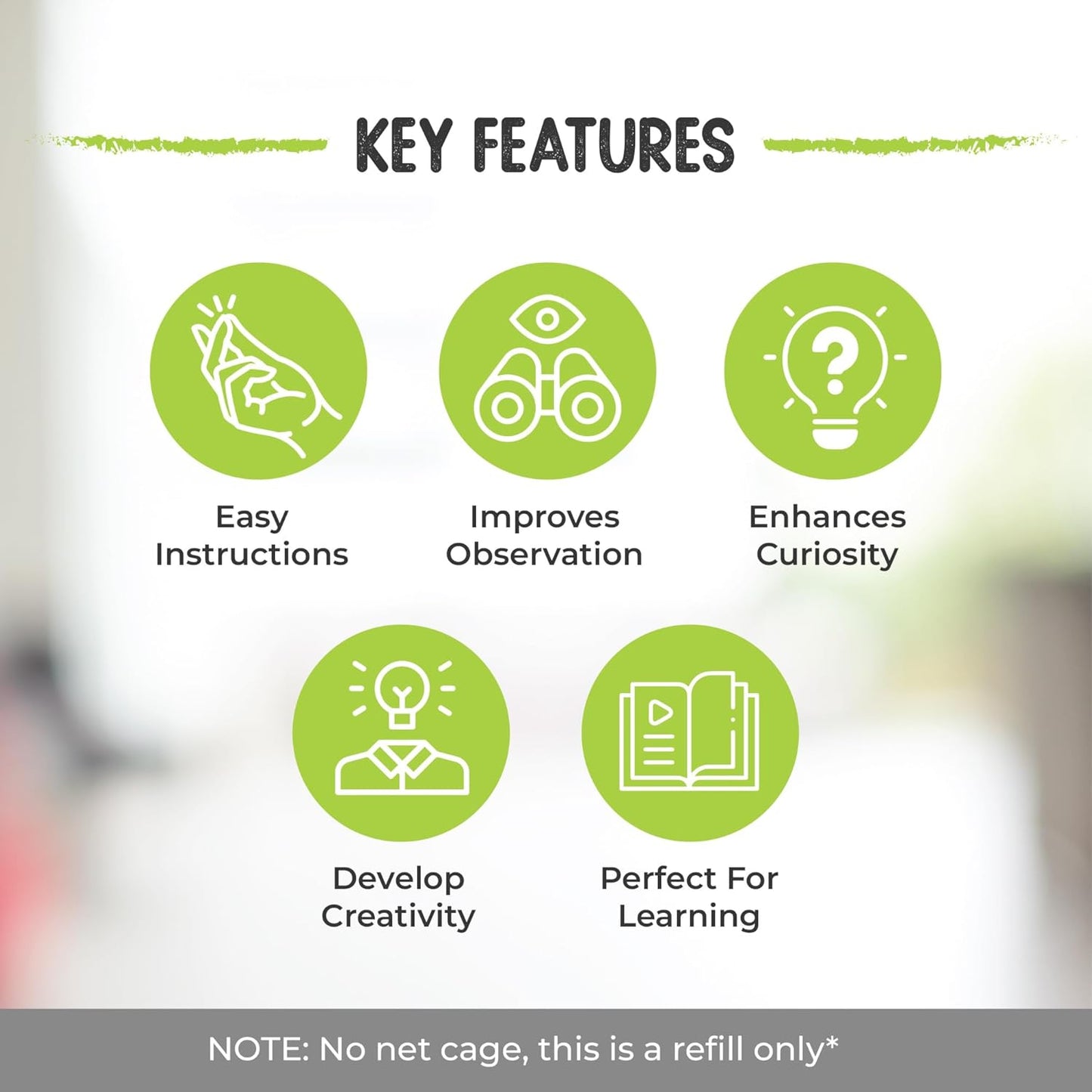 30 Live Caterpillars for Butterfly Habitat Kit - Refill for Painted Lady Butterfly Kit with Caterpillar Food, Instructions - Educational Science Kit, 6 Cups of 5 Caterpillars