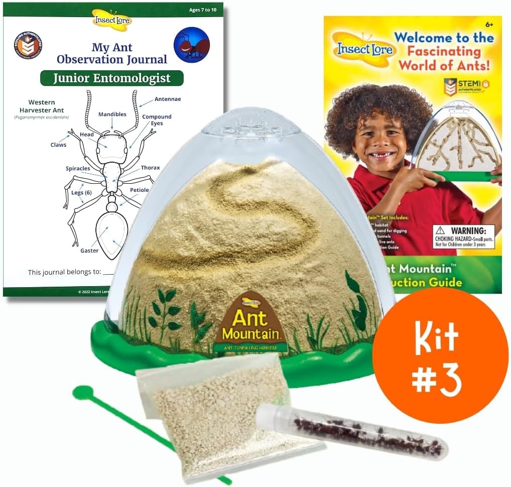 Insect Lore Bug Camp Bundle - Butterfly Kit with 5 Live Caterpillars, Ladybug Land with 1 Tube Live Larvae, Ant Mountain with 1 Tube Live Western Harvester Ants - Bonus Life Cycle Figurines & More