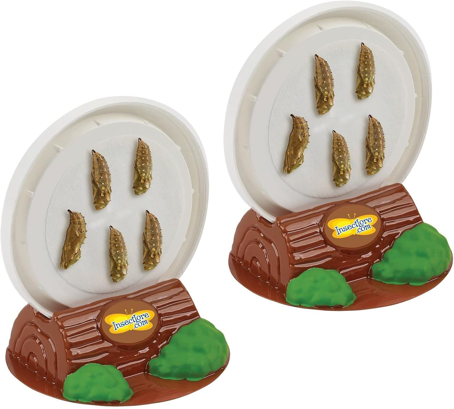 Insect Lore Two Cups of Live Caterpillars - 10 Live Painted Lady Caterpillars with Food - Includes Bonus Butterfly Life Cycle Figurines - Refill for Butterfly Garden Habitat