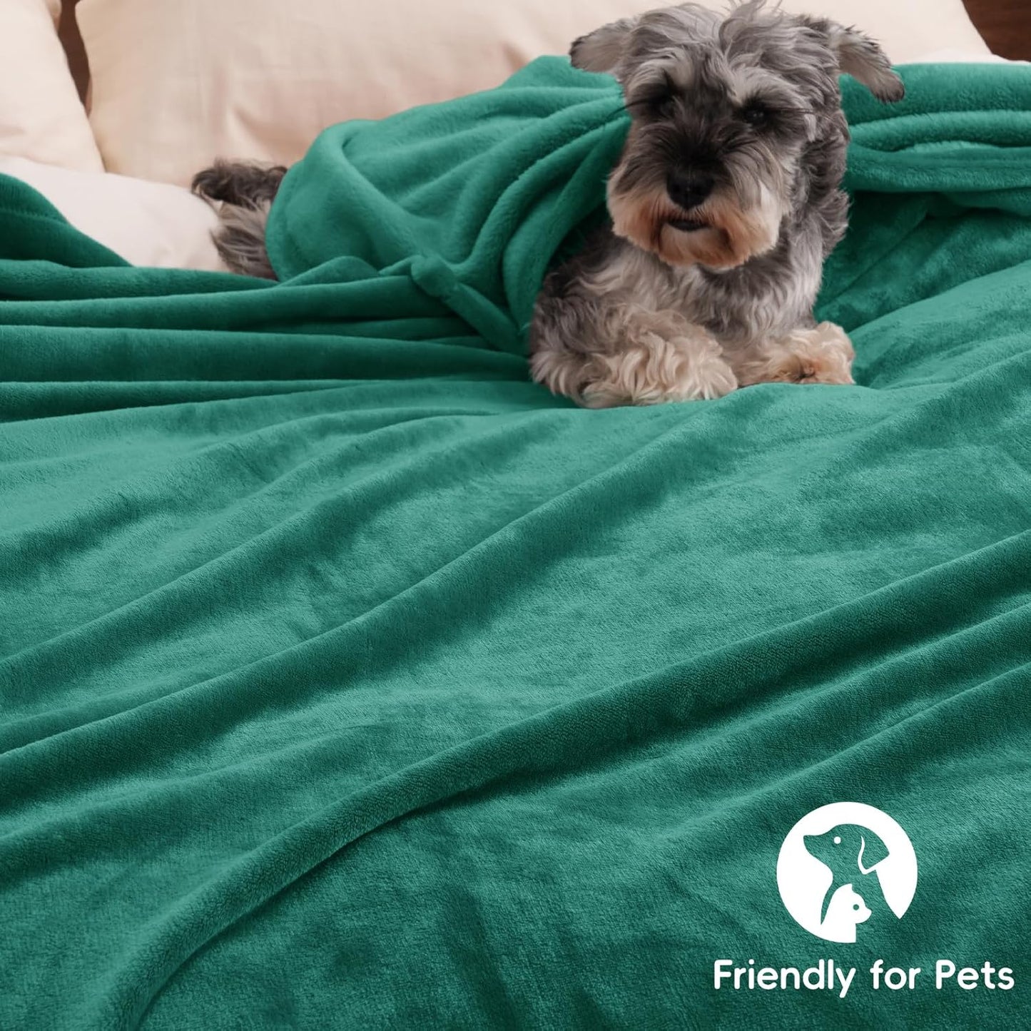 PHF Ultra Soft Fleece Blanket Queen Size, No Shed No Pilling Luxury Plush Cozy 300GSM Lightweight Blanket for Bed, Couch, Chair, Sofa Suitable for All Season, 90" x 90", Teal Green