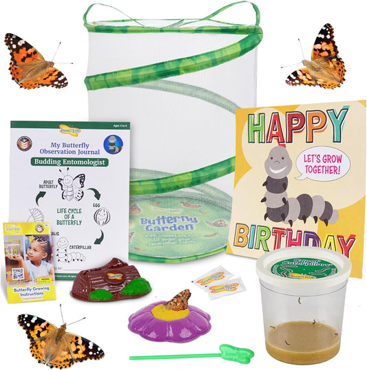 Insect Lore Butterfly Garden with Giant Birthday Card - 5 Live Baby Caterpillars, STEM Activity Journal, Habitat, Chrys-A-Lid Holder, Feeder - Raise and Release Painted Lady Butterflies