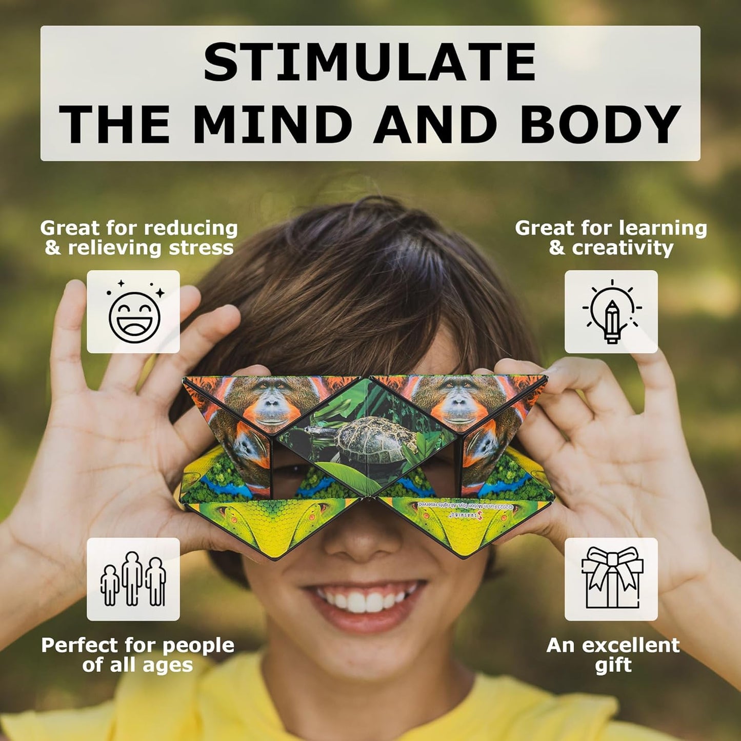 SHASHIBO Shape Shifting Box - Award-Winning, Patented Fidget Cube w/ 36 Rare Earth Magnets - Transforms Into Over 70 Shapes, Download Fun in Motion Toys Mobile App (Wild Series - Savannah)