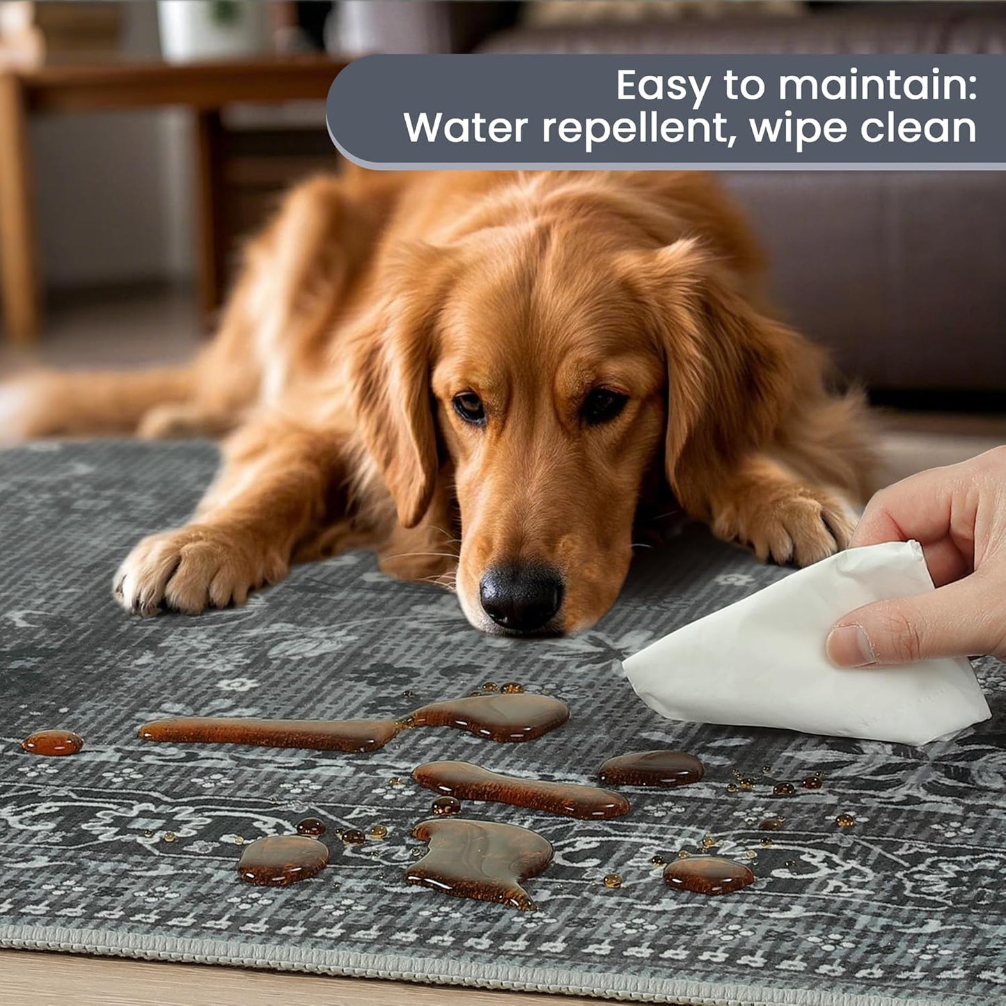 5x7 Machine Washable Area Rug for Living Room Bedroom, Vintage Kitchen Rugs Non Slip, Traditional Indoor Floor Floral Print Carpet for Dining Room, Farmhouse, Office Classroom Black/Gray