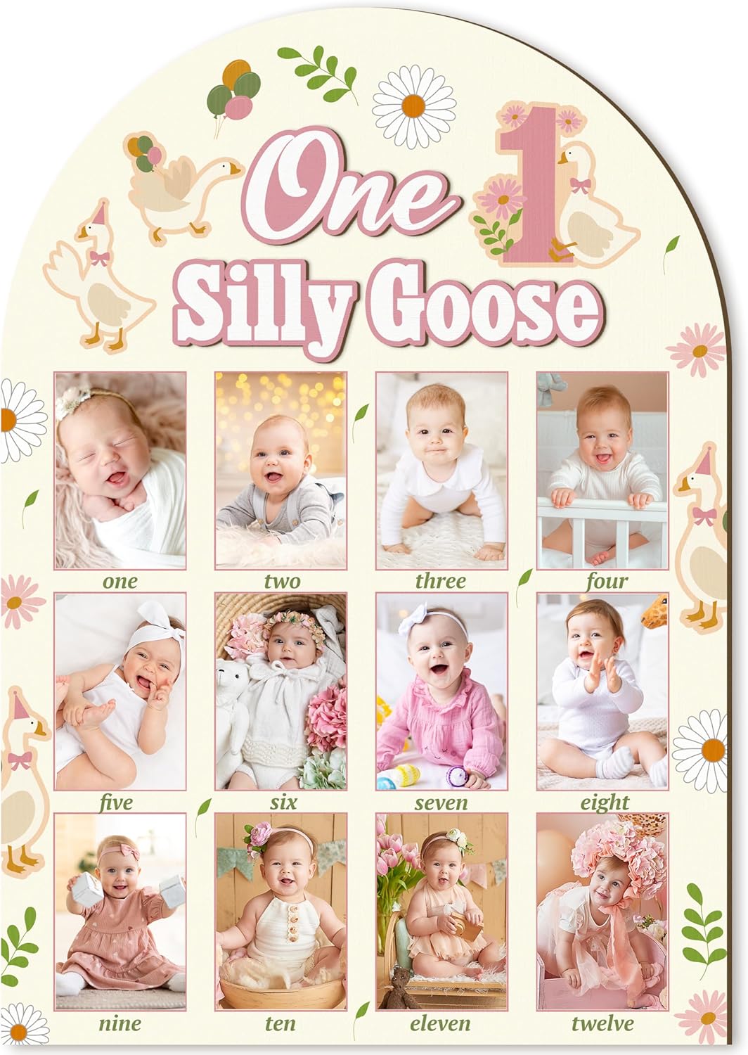 R HORSE My First Year Photo Frame Board, 3D One Silly Goose Birthday Decorations Display Wood Board, Baby First Year Picture Frame 12 Months Milestone 1st Birthday Nursery Decor Gift for Boy Girl
