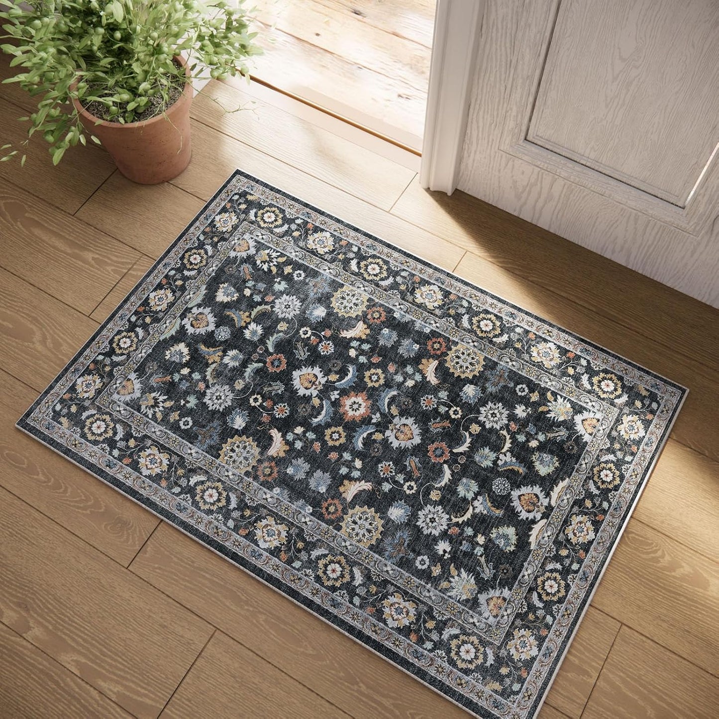 Washable Small Area Rugs for Kitchen: Door Mat Indoor Entrance 2x3 Throw Rug Stain Resistant Non-Slip Low Pile Soft Carpets for Entryway Front Door Indoor Entrance Entry Bedroom